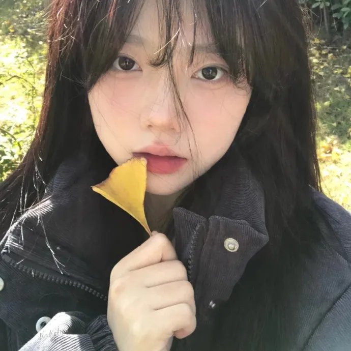 真假维梅尔