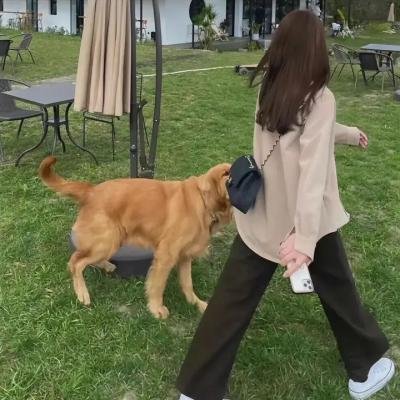 拽妹黛薇儿第四季